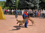 Более 1000 орловских соискателей получили реальный шанс найти работу на Всероссийской ярмарке трудоустройства