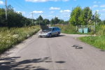 Орловчанка на «семёрке» угодила под «Форд»