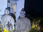 Под Орлом спасатели освободили от шершней электроподстанцию