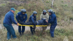 Два человека пострадали в ДТП с фурой на трассе в Орловской области