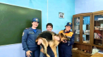 Орловским школьникам напомнили правила поведения в чрезвычайных ситуациях