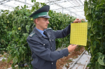 Россельхознадзор завершил фитомониторинг на Орловщине