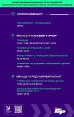 Битва роботов
